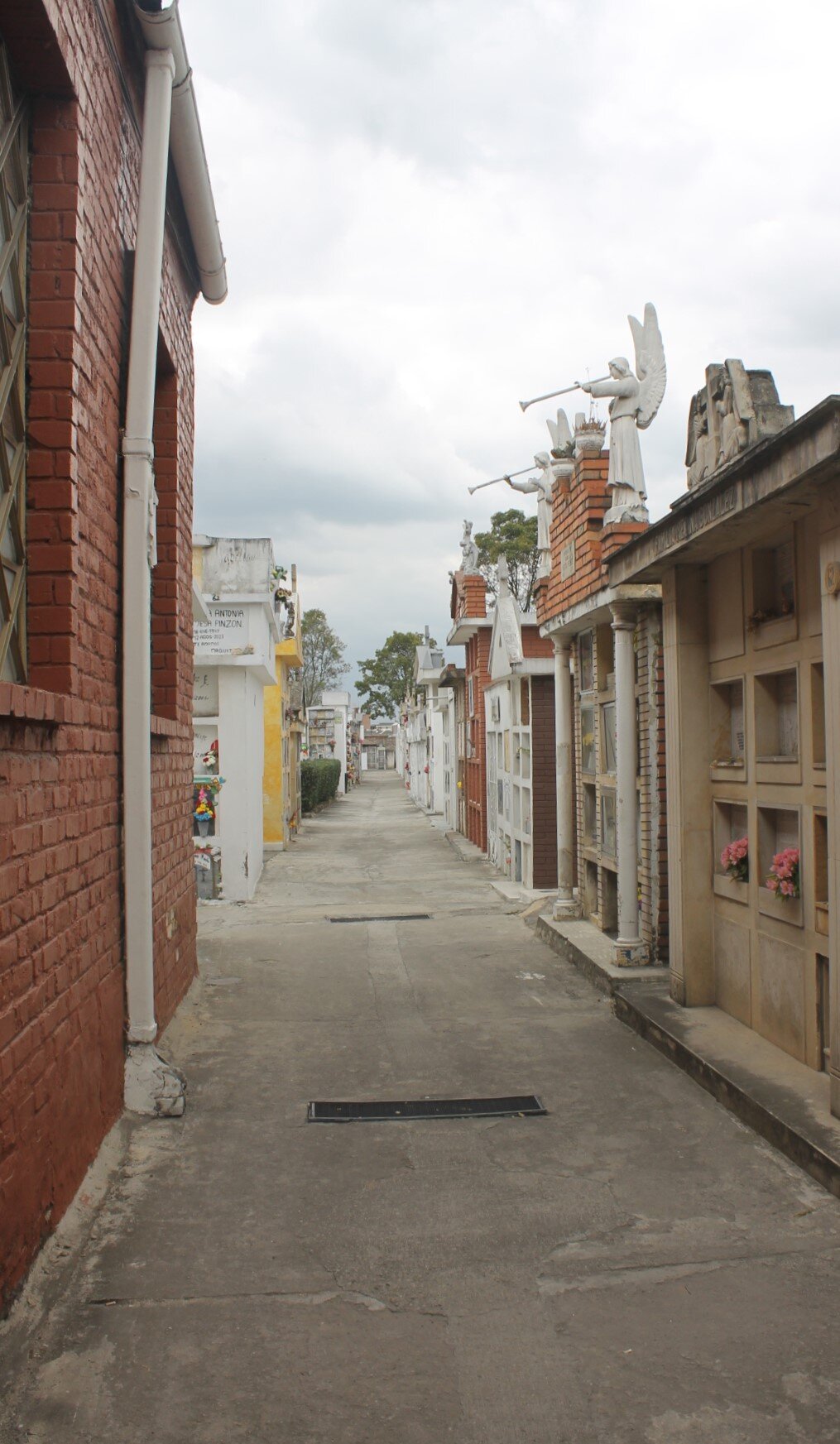 Visión Cementerio Parroquial Bosa